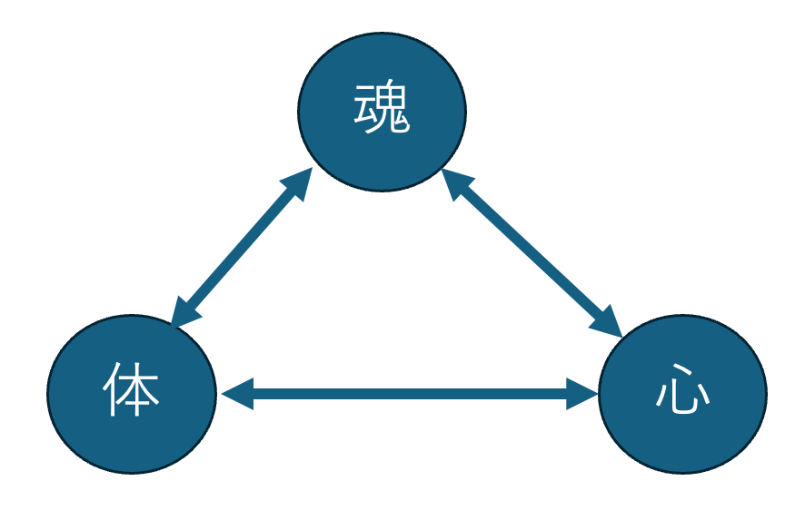 Body(身体)、Mind(心、精神)、Spirit(魂)の調和
