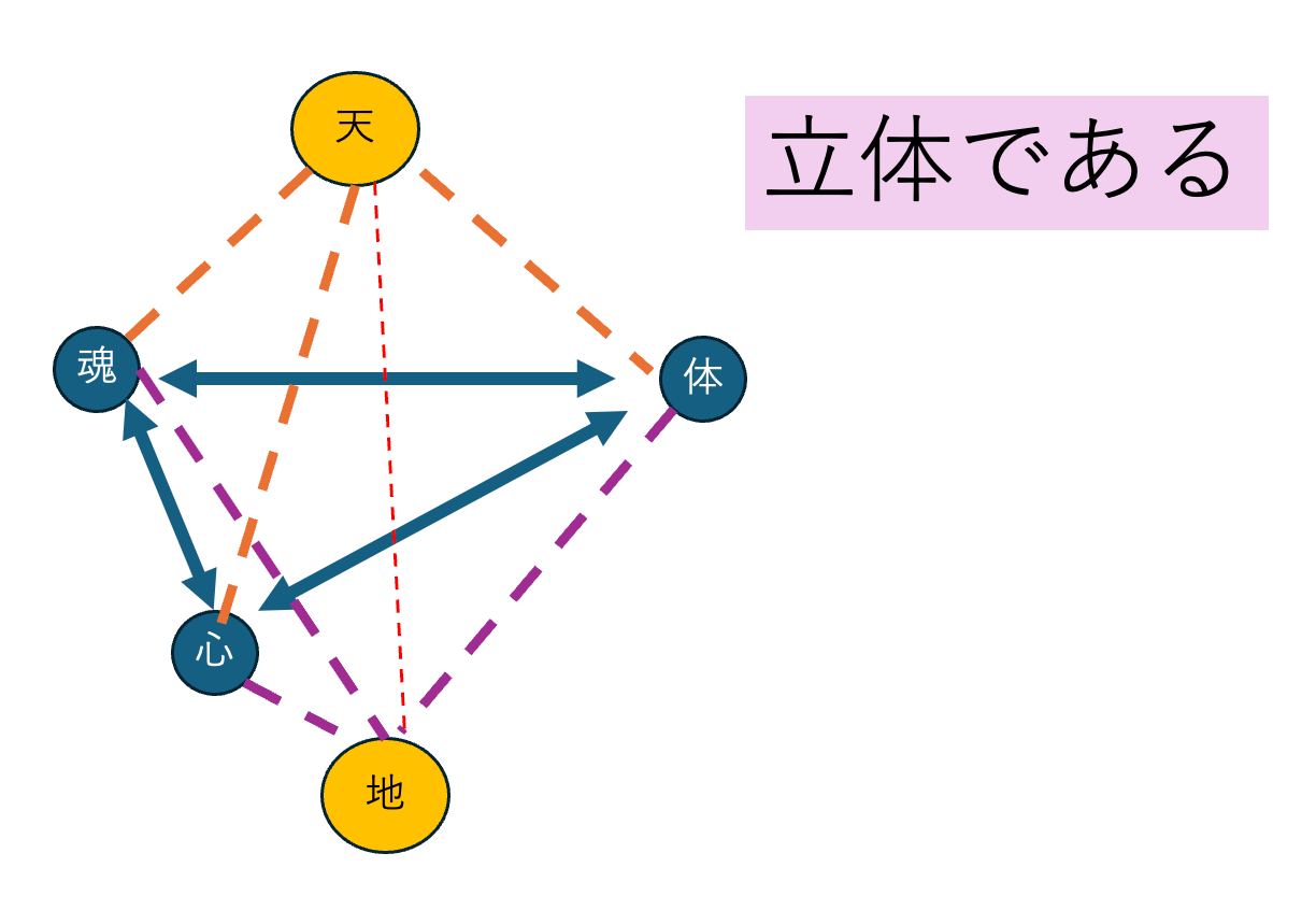 (私の考え)真の健康とは 生命力とは